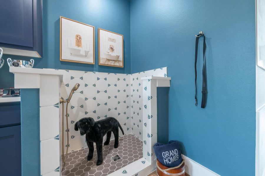 Image 14 of the Providence Cove community in McKinney, TX.