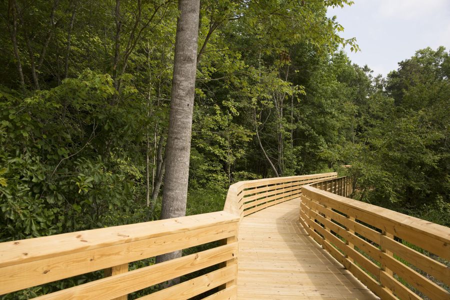 Natural surroundings and green spaces near Wendell Falls in Wendell, NC (Image 67).