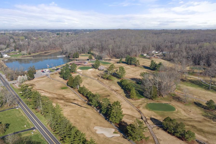 Clarksville Swan Lake 3of4 Clarksville Swan Lake 3of4