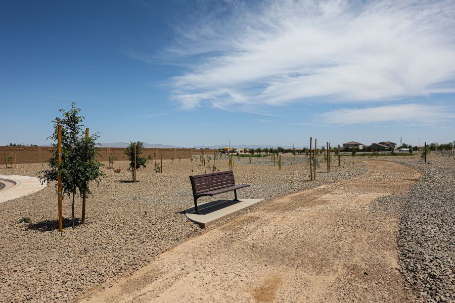 Community amenity available to residents of Landmarke in Queen Creek (Image 20).