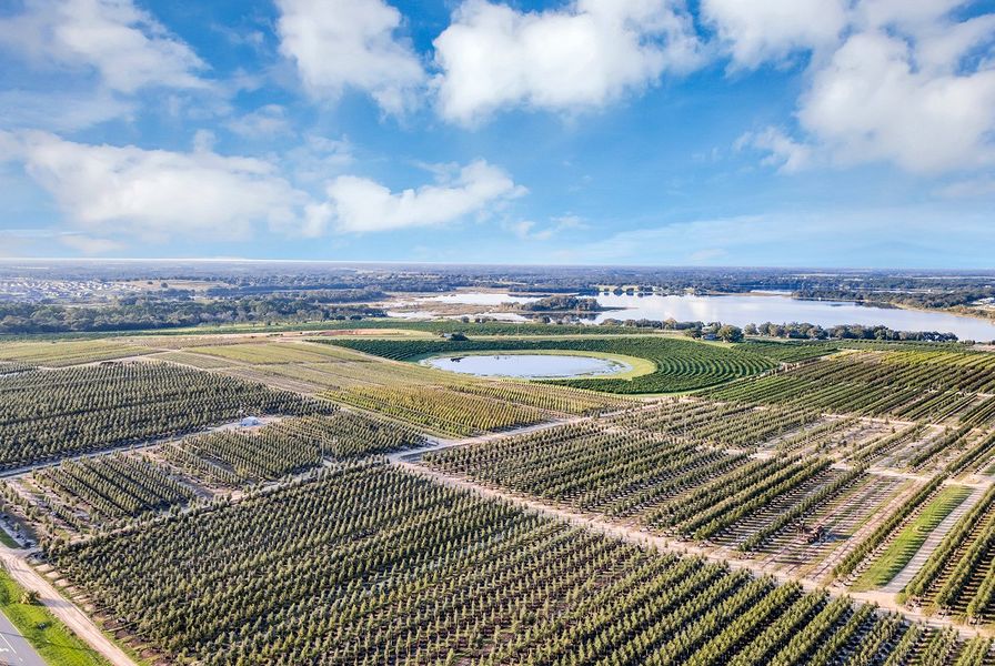 Groveland Cherry Lake Farm 4 17 25 Groveland Cherry Lake Farm 4 17 25