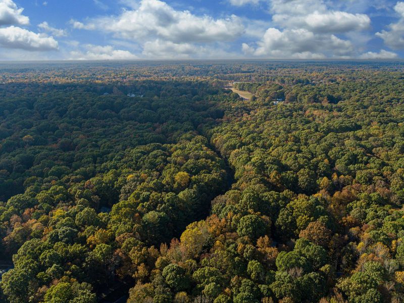 Natural surroundings and green spaces near Foxridge Meadow in Indian Trail, NC (Image 12).