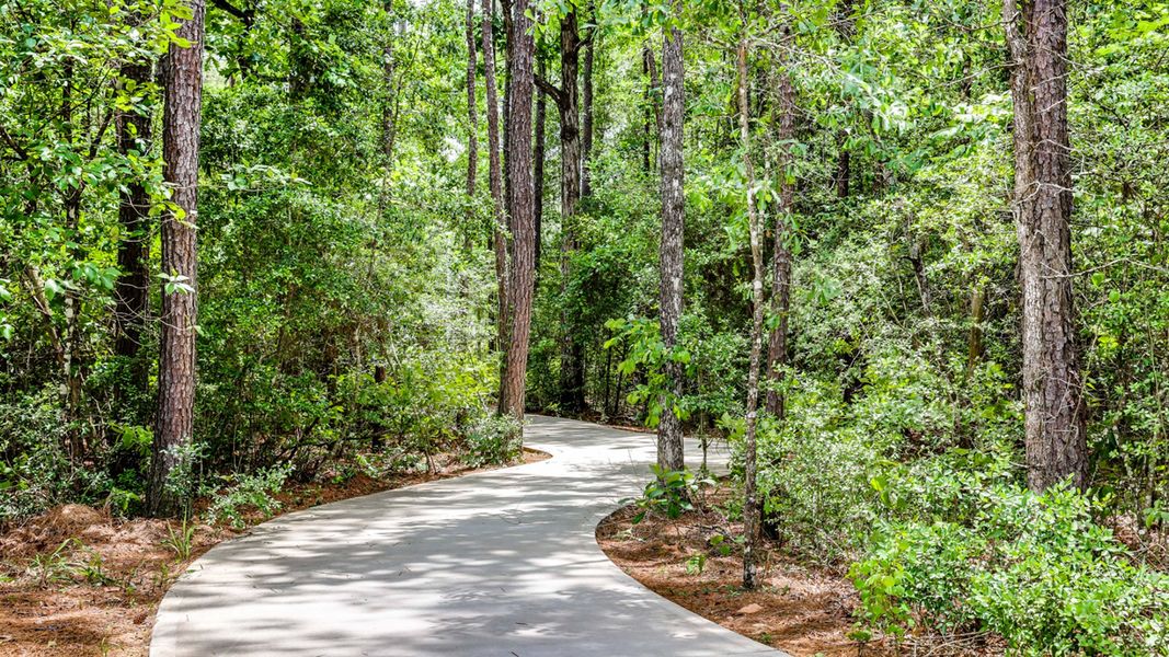 Conroe Carl Barton Jr Park Trail 1of4