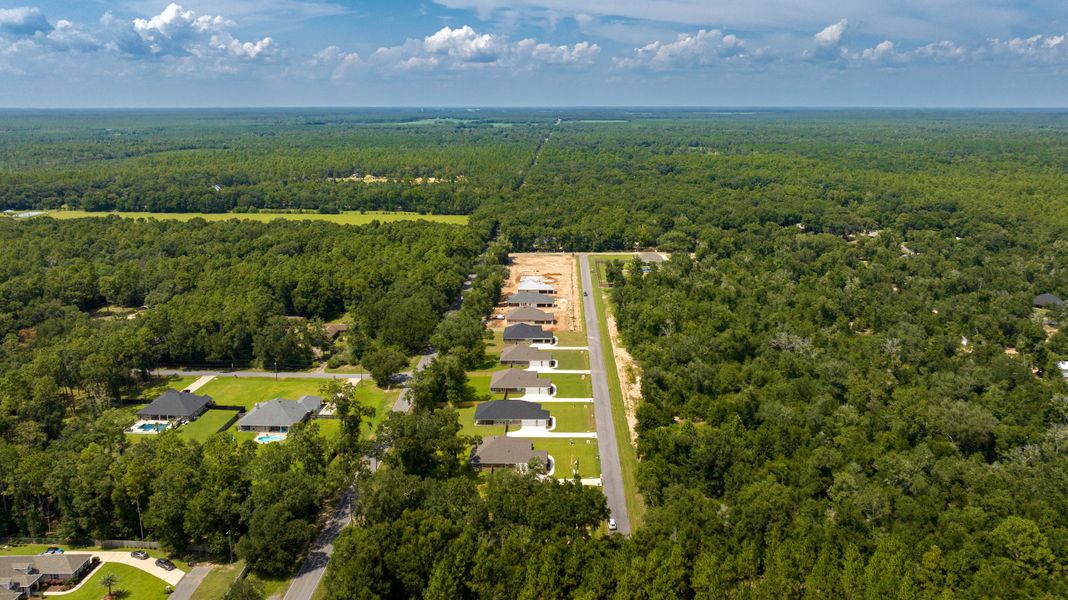 Aerial view of the Prosperity Point community in Milton, FL, showing layout and nearby surroundings (Image 4).