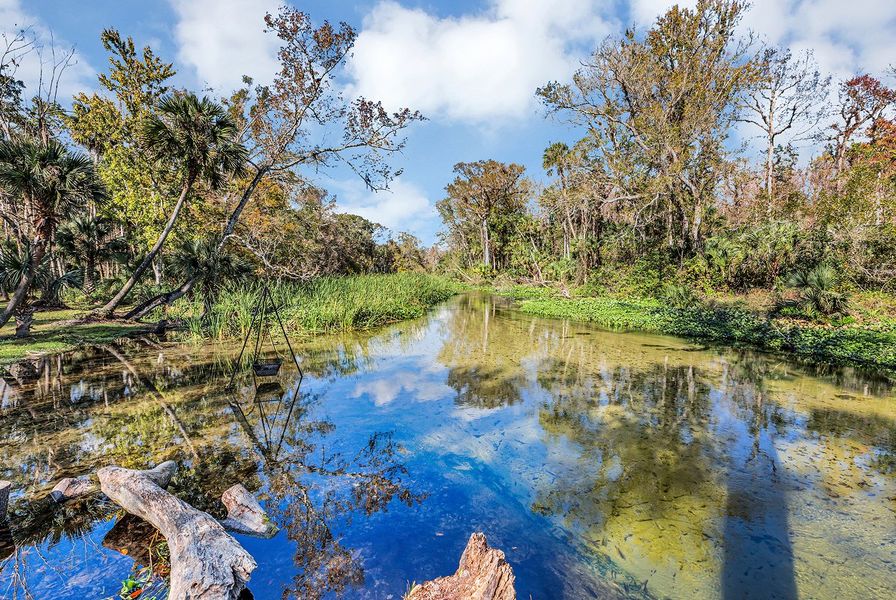 Apopka Kings Landing 2of2