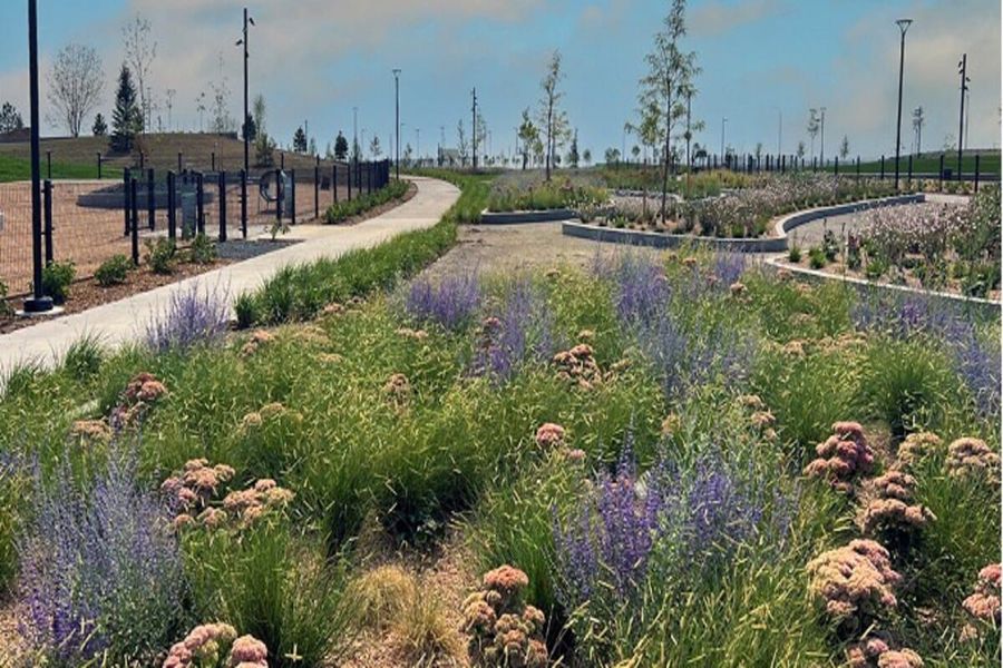 Natural surroundings and green spaces near Windler Wildflower in Aurora, CO (Image 12).