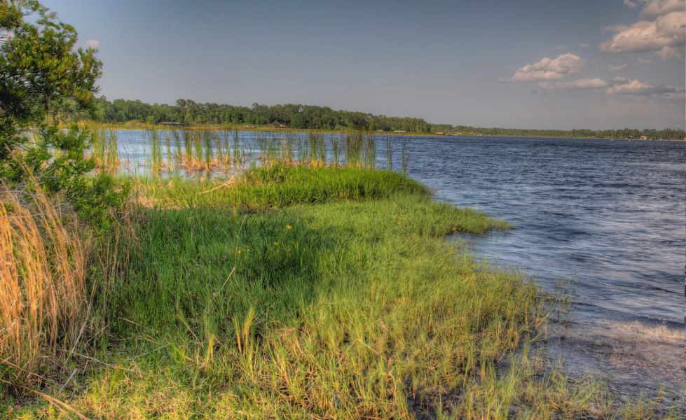 Natural surroundings and green spaces near Live Oak Estates in Orlando, FL (Image 9). Natural surroundings and green spaces near Live Oak Estates in Orlando, FL (Image 9).