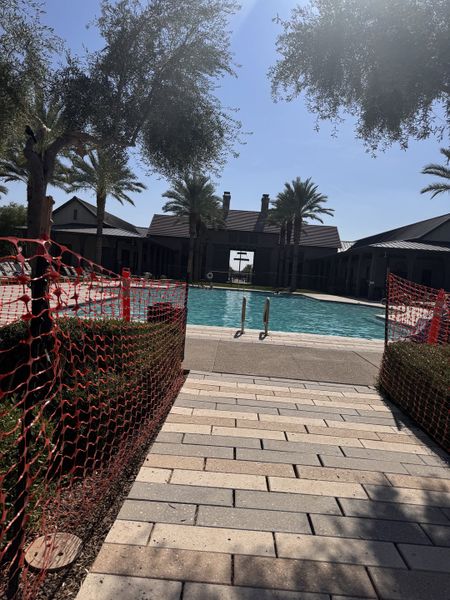 A charming community pool surrounded by palm trees in Mystic Discovery Collection by Taylor Morrison (Peoria, AZ).