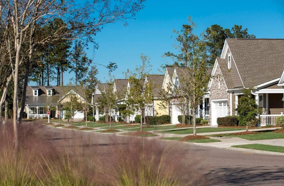 Cresswind Charleston neighborhood streetscape. Cresswind Charleston neighborhood streetscape.