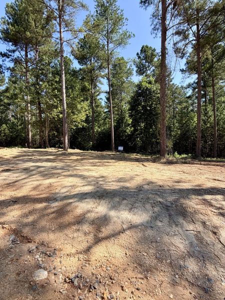 Site preparation and early development at Pine Ridge in Soddy-Daisy, TN (Image 57). Site preparation and early development at Pine Ridge in Soddy-Daisy, TN (Image 57).