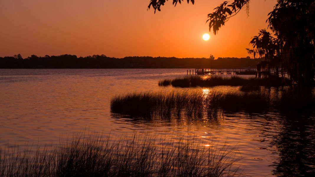 Natural surroundings and green spaces near Cypress Landing in Hardeeville, SC (Image 16). Natural surroundings and green spaces near Cypress Landing in Hardeeville, SC (Image 16).
