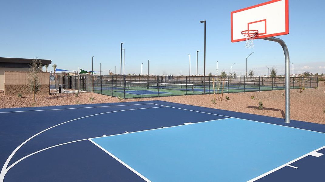 Asante Artisan Amenity Basketball Dev