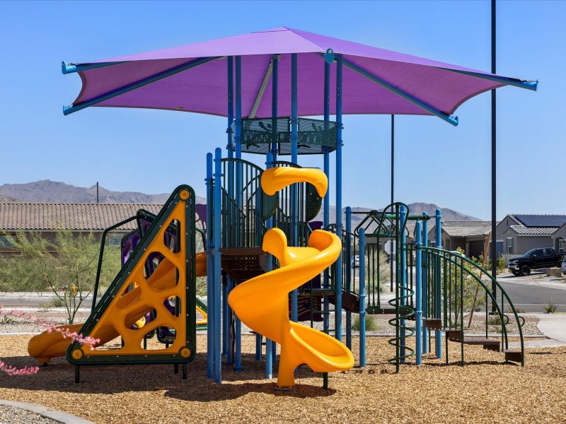 Playground at Desert Moon Estates