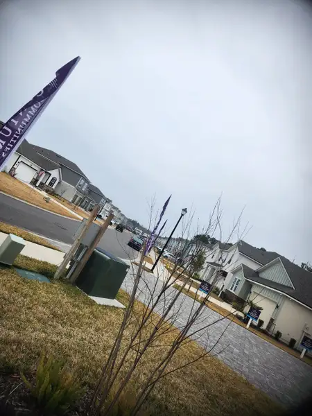 Charming neighborhood with modern homes in Pine Series at The Landings at Pecan Park by Century Communities (Jacksonville, FL).