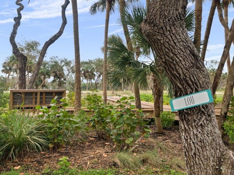 Natural surroundings and green spaces near Seaglass in Vero Beach, FL (Image 97).