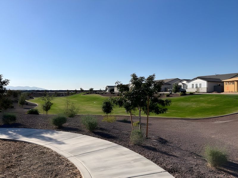 Beautiful homes with landscaped lawns and scenic pathways in The Retreat at Rancho Cabrillo by Scott Communities (Peoria, AZ).
