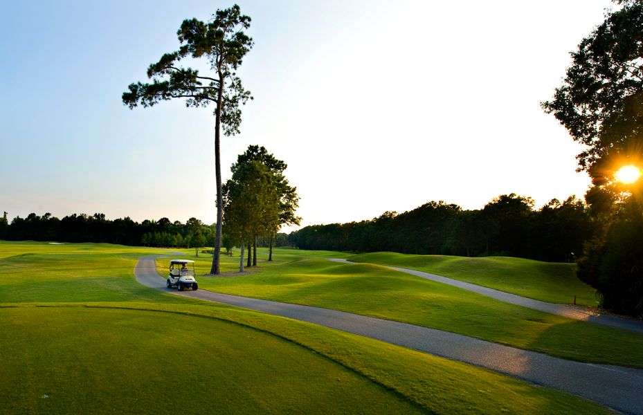 Image 37 of the Dunes West Golf and River Club community in Mount Pleasant, SC.