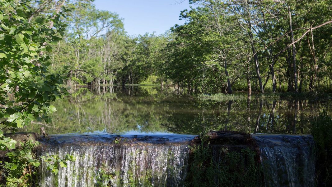 Natural surroundings and green spaces near Parten 75'/85' in Austin, TX (Image 19).