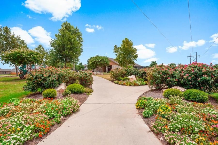 Image 23 of the The Enclave at Sonterra community in Jarrell, TX.