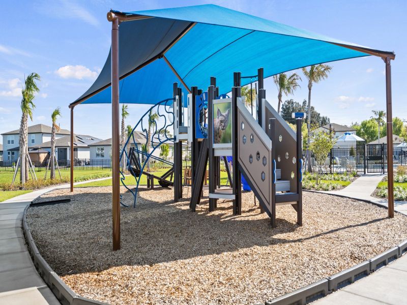 Playground at The Meadow at Crossprairie Playground at The Meadow at Crossprairie