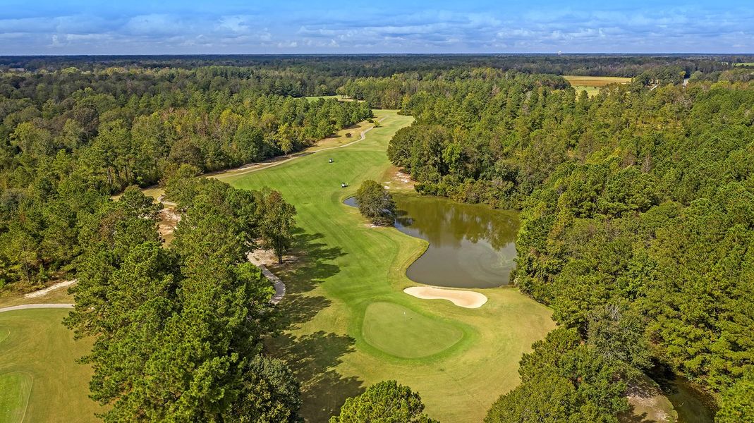 Natural surroundings and green spaces near Fairway Woods at Wyboo in Manning, SC (Image 42).