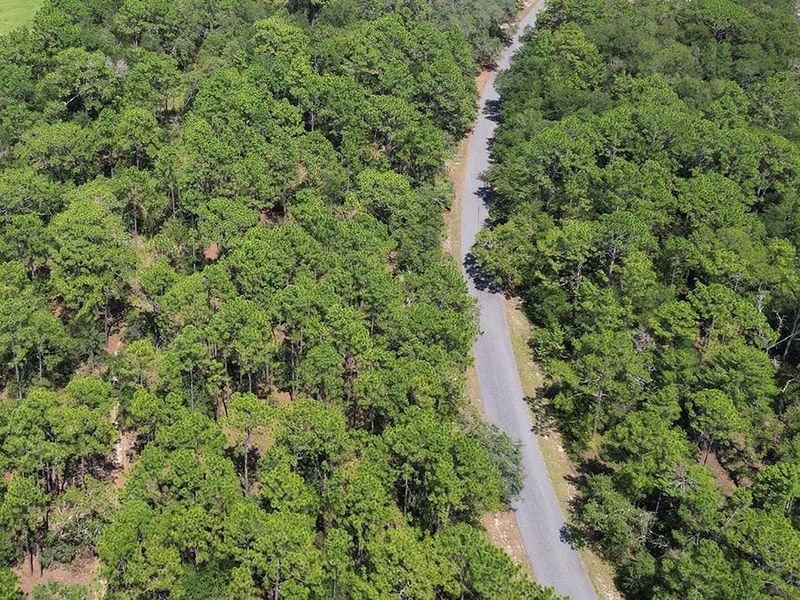 Our beautiful, wooded homesites are 1+ acres in size, providing privacy between neighboring homes.