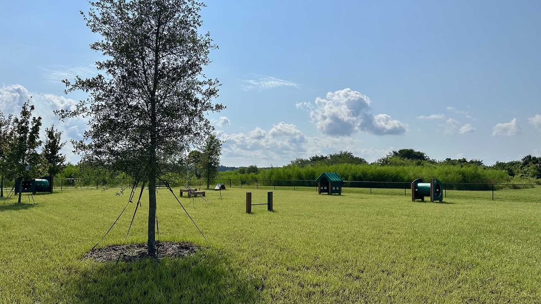 Community amenity available to residents of Rookery in Green Cove Springs (Image 2).