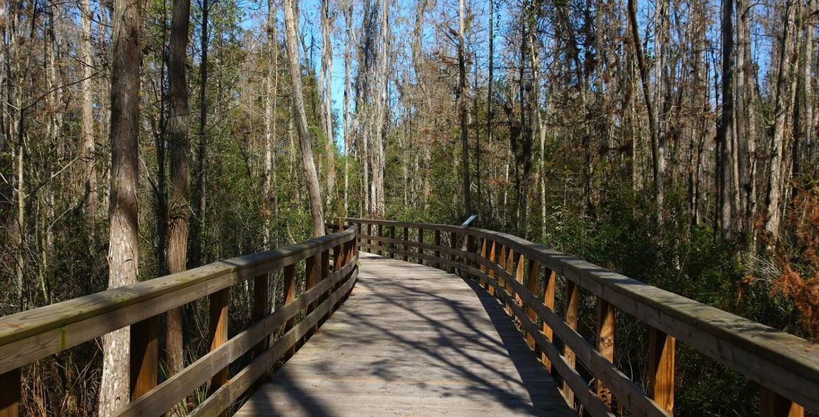 Little Manatee River State Park