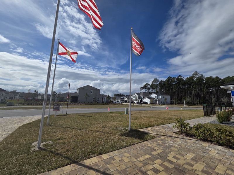 A picturesque neighborhood scene in TrailMark by Richmond American Homes, showcasing tree-lined streets in St. Augustine, FL.