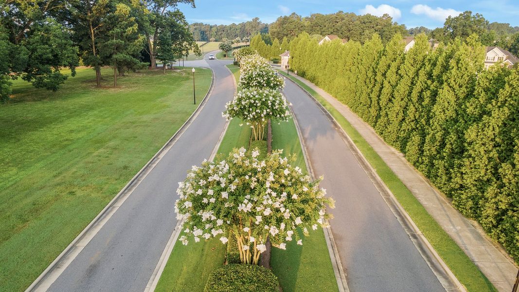 Natural surroundings and green spaces near South Lake Townes at Flowers Plantation in Clayton, NC (Image 63).