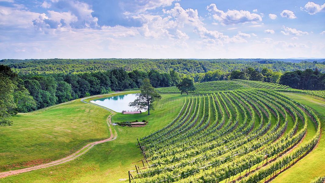 Natural surroundings and green spaces near Mountain Park in Dahlonega, GA (Image 58).