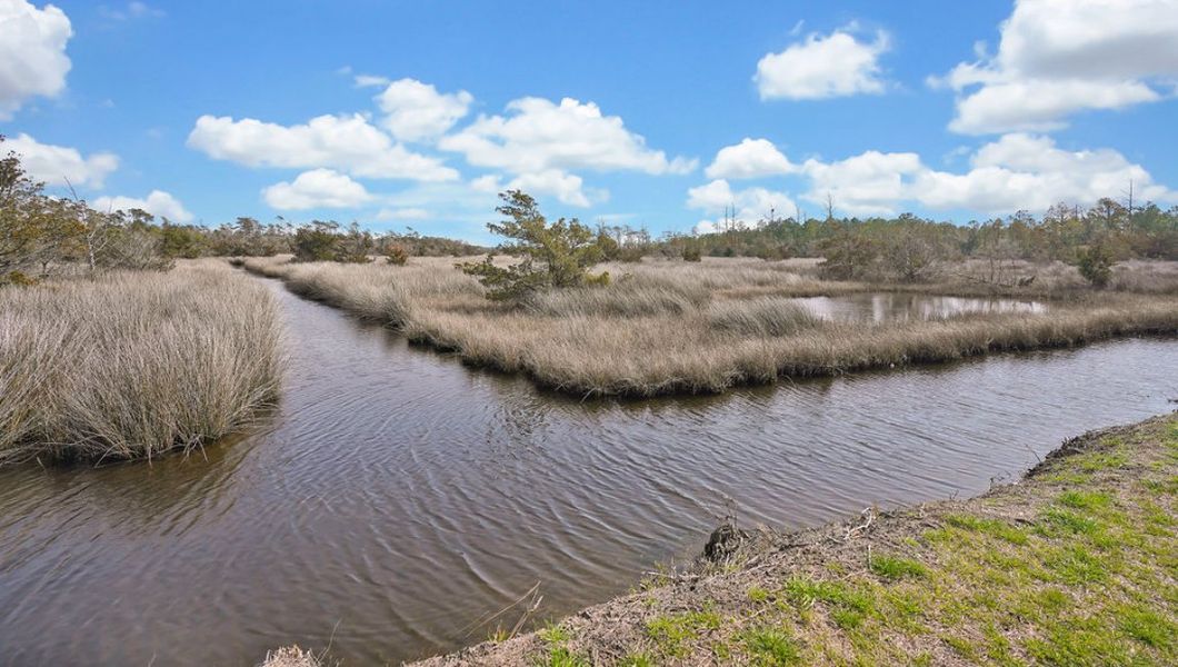 Natural surroundings and green spaces near The Preserve at Tidewater in Sneads Ferry, NC (Image 20).