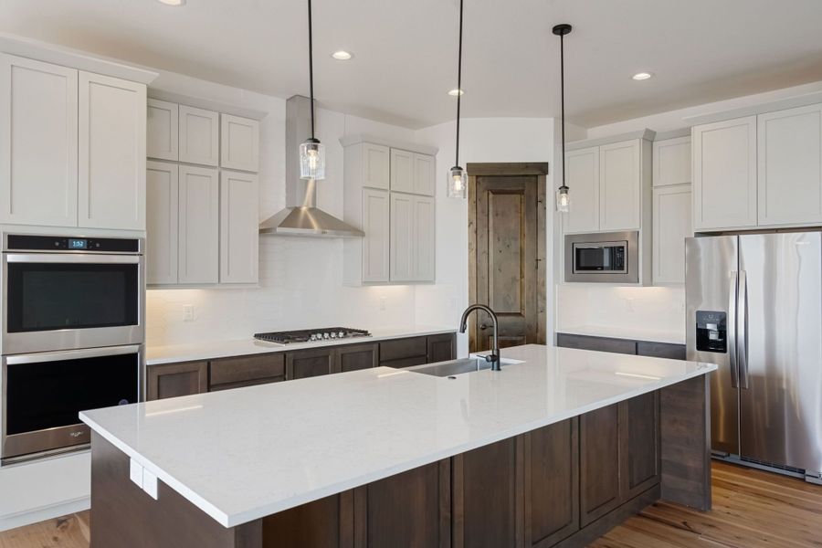 The Aurora Highlands,80019