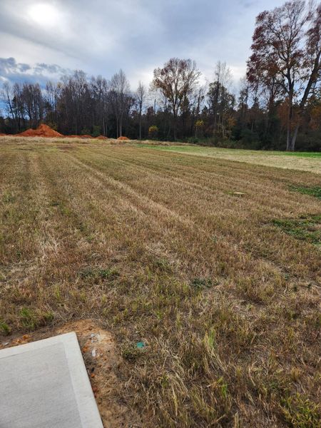 An open field ready for development in Williams Run by Ryan Homes, Bailey, NC, featuring a backdrop of mature trees.