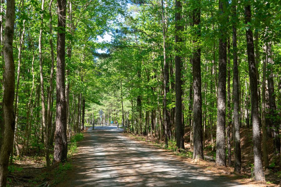Natural surroundings and green spaces near Twinleaf Townes in Chapel Hill, NC (Image 11).