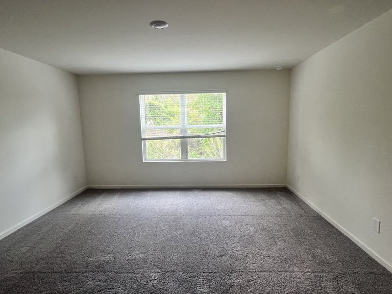 A spacious room with soft gray carpeting, white walls, and a large window providing natural light.