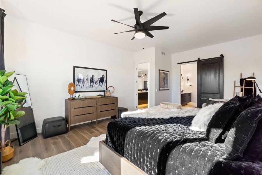 The Aurora Highlands,80019