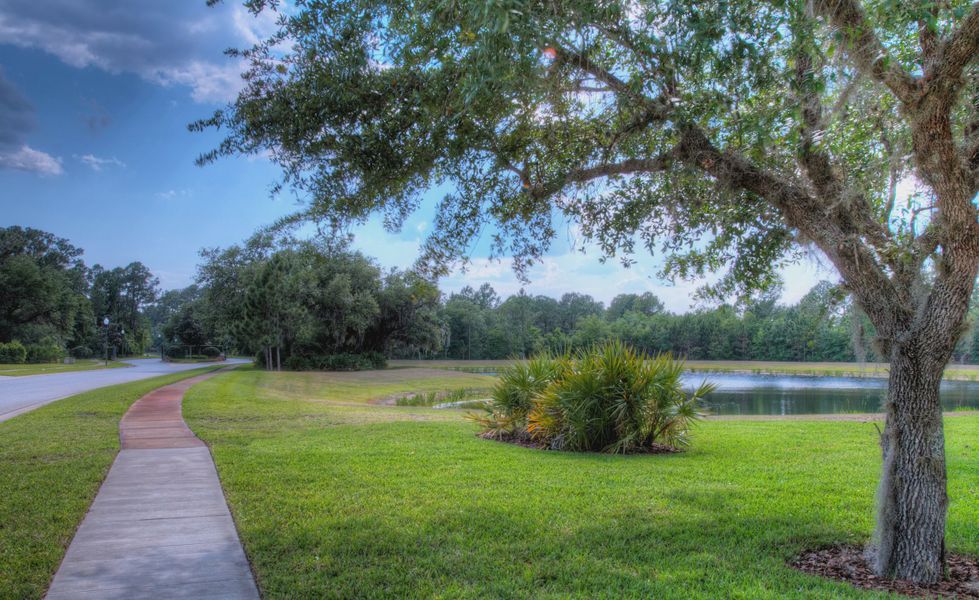 Natural surroundings and green spaces near Live Oak Estates in Orlando, FL (Image 5). Natural surroundings and green spaces near Live Oak Estates in Orlando, FL (Image 5).