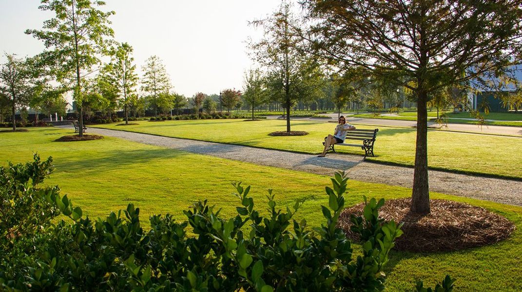 Horizons Carnes Crossroads Amenity Park 081825