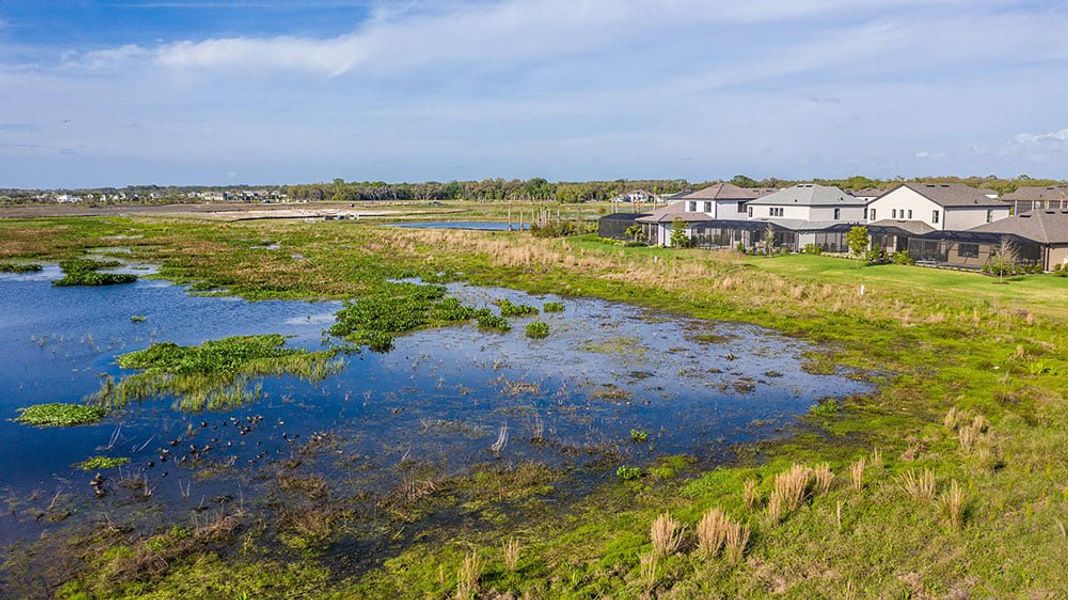 Image 83 of the Cassia at Skye Ranch community in Sarasota, FL.