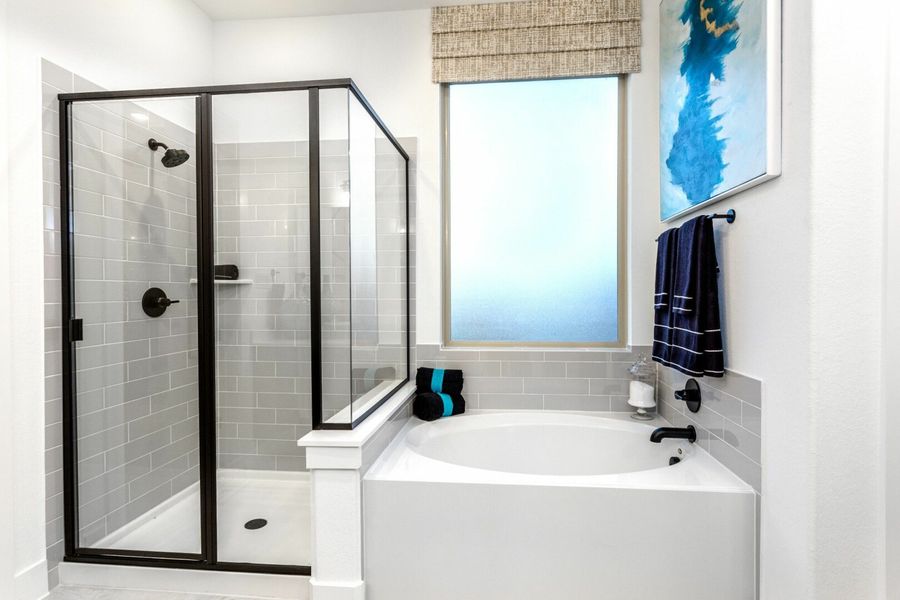 Image 16 of the Balmoral community in Humble, TX. Image 16 of the Balmoral community in Humble, TX.