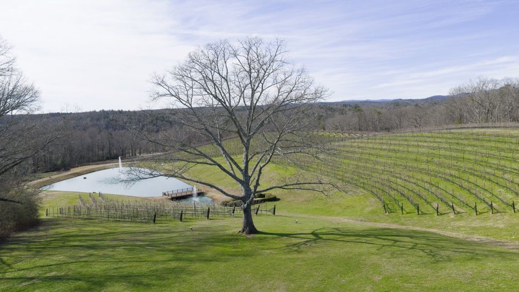 Natural surroundings and green spaces near Grandview at Lanier in Dawsonville, GA (Image 11). Natural surroundings and green spaces near Grandview at Lanier in Dawsonville, GA (Image 11).