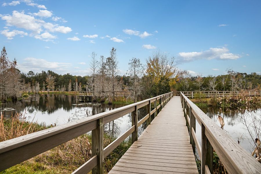 Natural surroundings and green spaces near Villa Mar in Winter Haven, FL (Image 22).