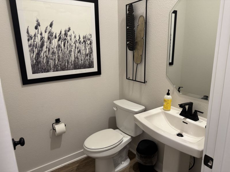A chic powder room featuring a pedestal sink, modern wall art, and a monochrome nature photo.