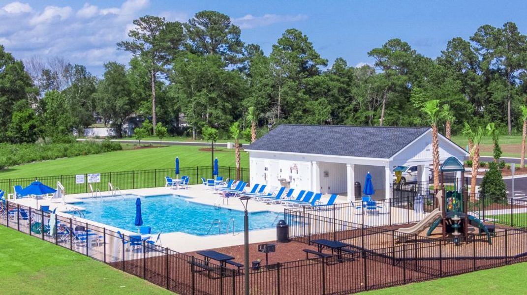 swimming pool swimming pool