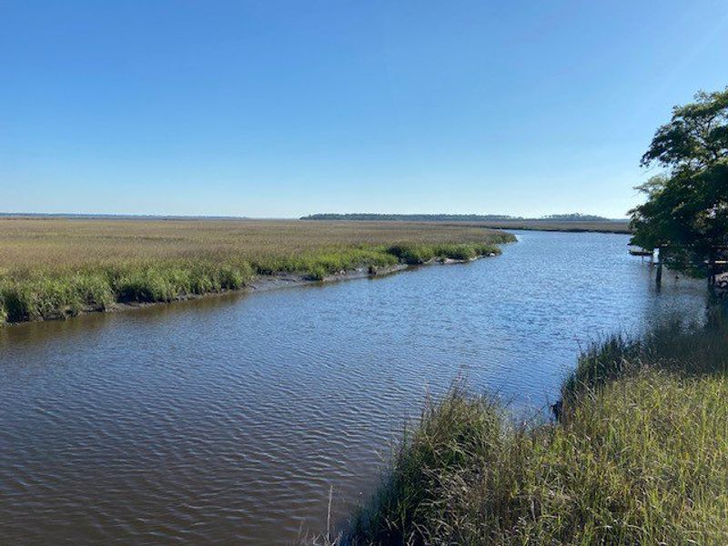 Natural surroundings and green spaces near Katie Cove in Jacksonville, FL (Image 42).