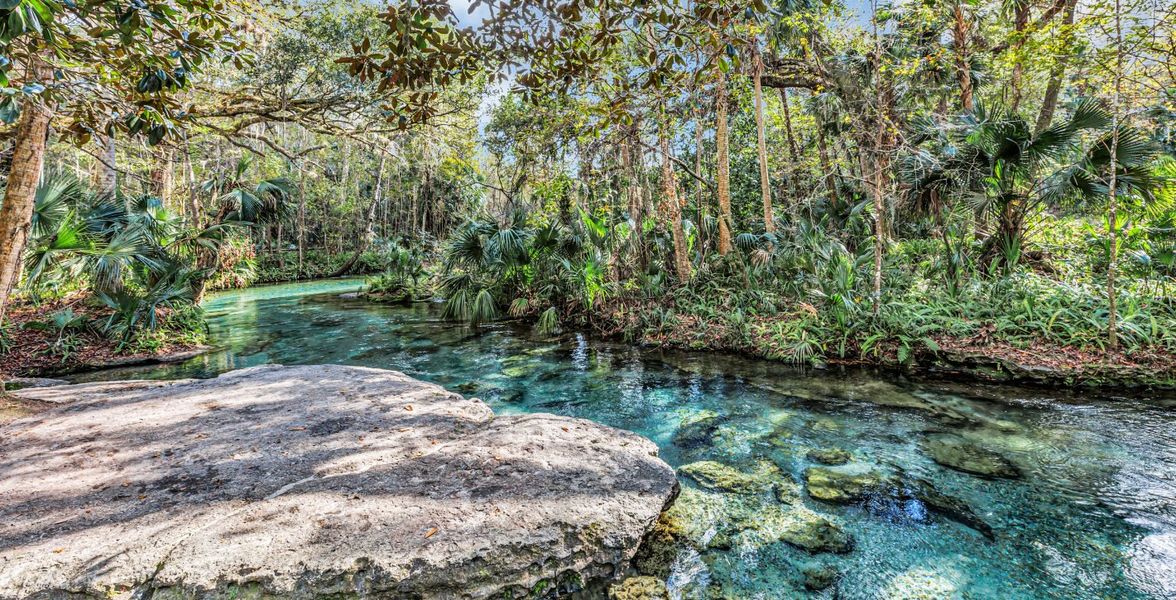 Kelly Park Kelly Park