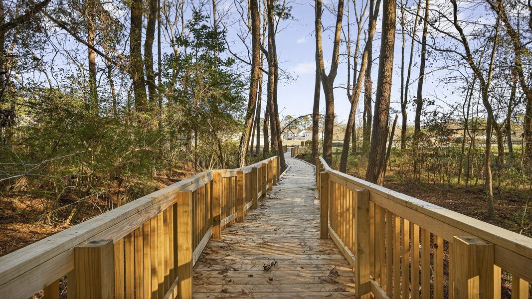 Natural surroundings and green spaces near Creekside at Andrews in Summerville, SC (Image 21).