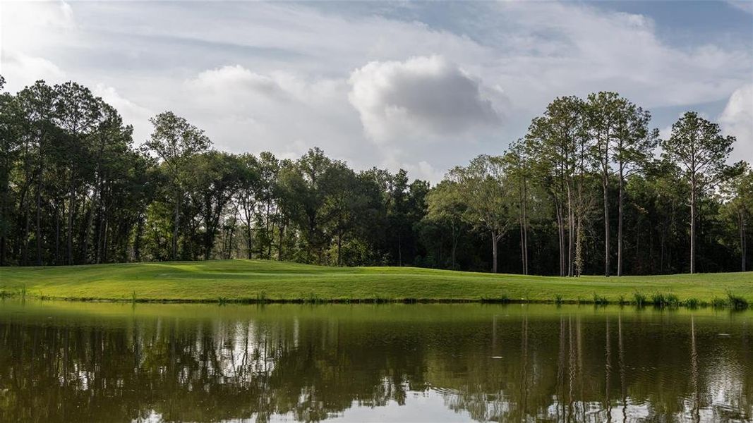 Natural surroundings and green spaces near The Highlands in Porter, TX (Image 45).