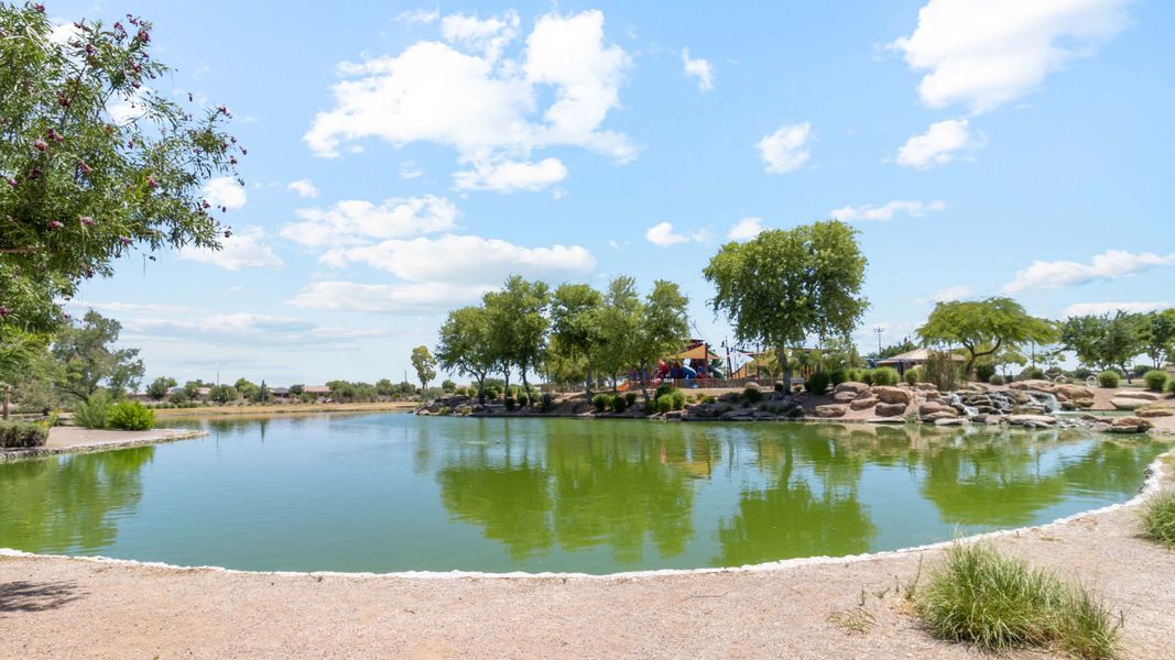 Natural surroundings and green spaces near Anthem at Merrill Ranch in Florence, AZ (Image 114).